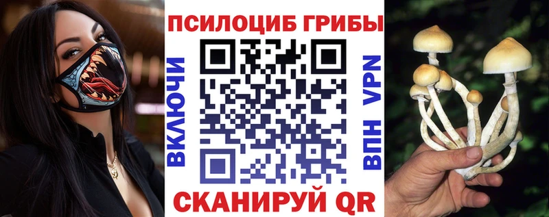 Галлюциногенные грибы ЛСД Вичуга